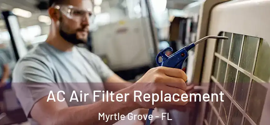 AC Air Filter Replacement Myrtle Grove - FL