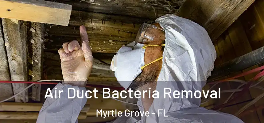 Air Duct Bacteria Removal Myrtle Grove - FL