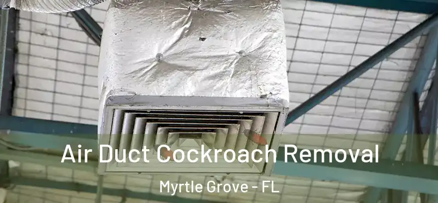  Air Duct Cockroach Removal Myrtle Grove - FL