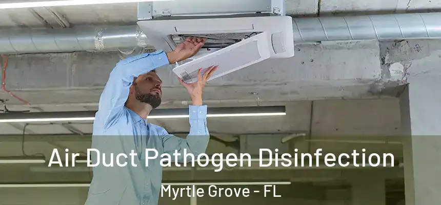 Air Duct Pathogen Disinfection Myrtle Grove - FL