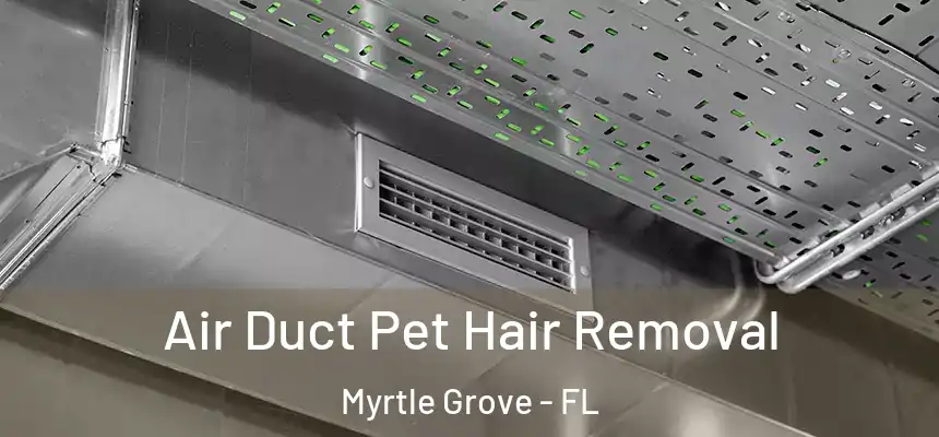 Air Duct Pet Hair Removal Myrtle Grove - FL