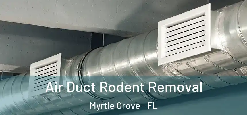  Air Duct Rodent Removal Myrtle Grove - FL