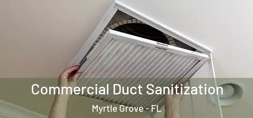 Commercial Duct Sanitization Myrtle Grove - FL