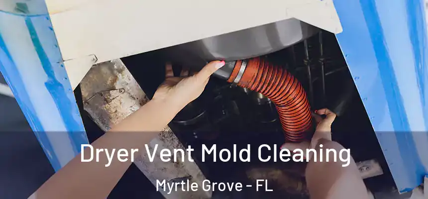 Dryer Vent Mold Cleaning Myrtle Grove - FL