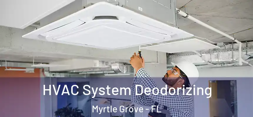 HVAC System Deodorizing Myrtle Grove - FL