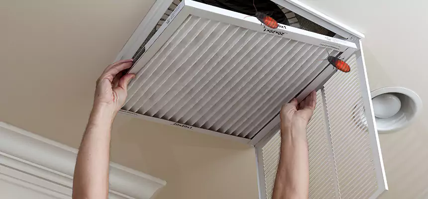 Preventive Cockroach-Proofing for Ducts in Myrtle Grove