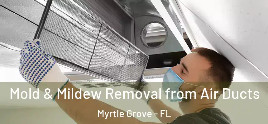 Mold & Mildew Removal from Air Ducts Myrtle Grove - FL