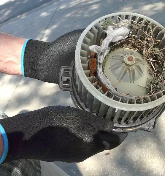 About Air Duct Mice Removal in Myrtle Grove, FL