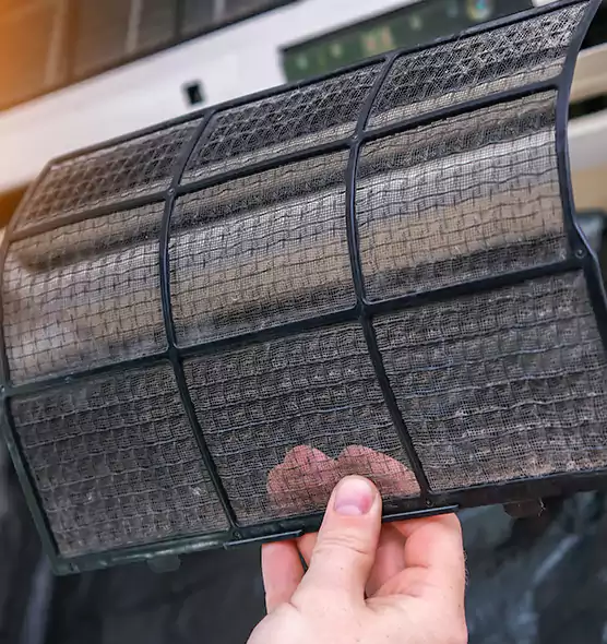 About Pet Dander Duct Cleaning in Myrtle Grove, FL